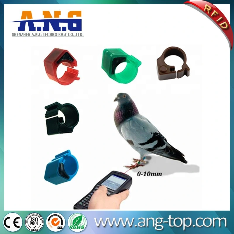 125kHz RFID Animal Tags Pigeon Rings for Pigeon Chicken Tracking